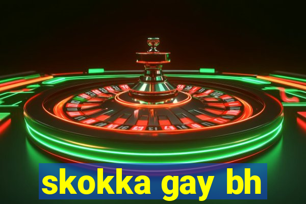 skokka gay bh